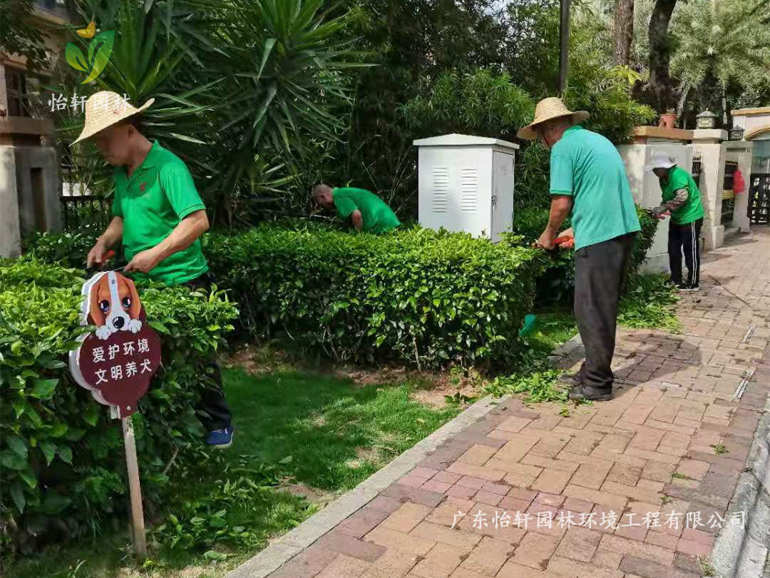 深圳龙华观湖园别墅小区绿化养护