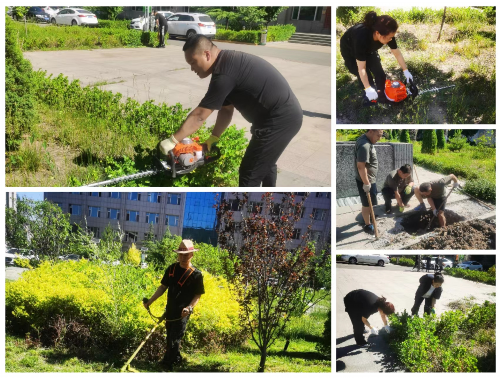 土建绿化工程收费标准文件