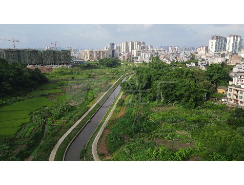 厦门南京市绿化园林