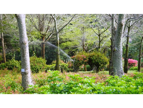 太原西山绿化工程