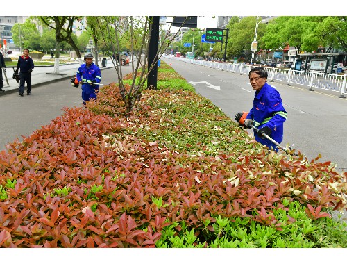 德阳南京市绿化园林